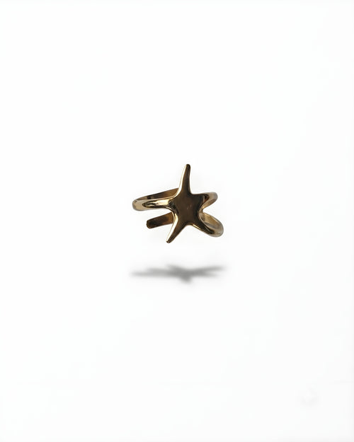 RING-01