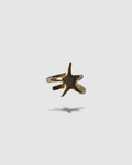 RING-SEASTAR